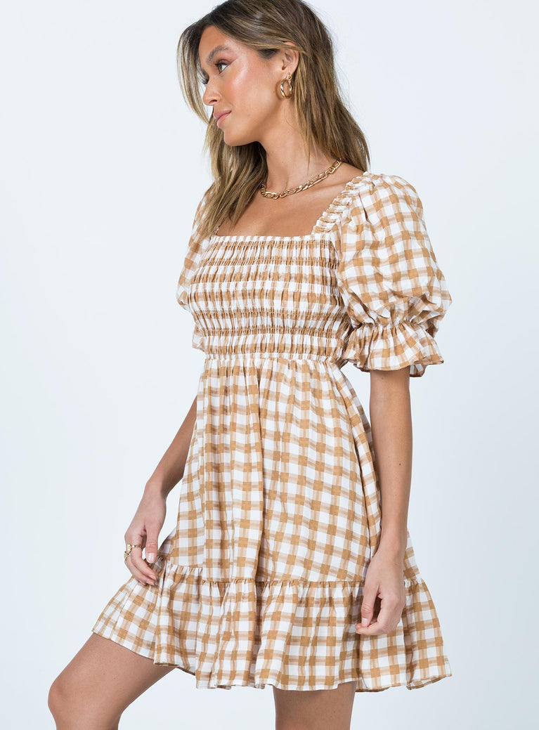 Adelio Mini Dress Brown